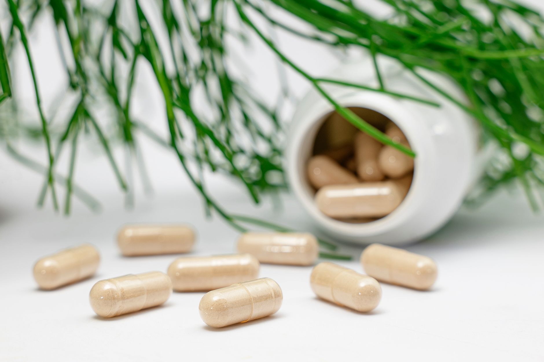 A jar of botanical supplements on a plain surface